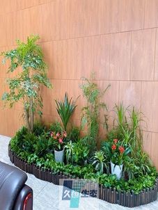 余杭企业大厅绿植组合摆放